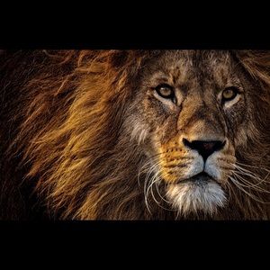 Meet your Posher, Mike